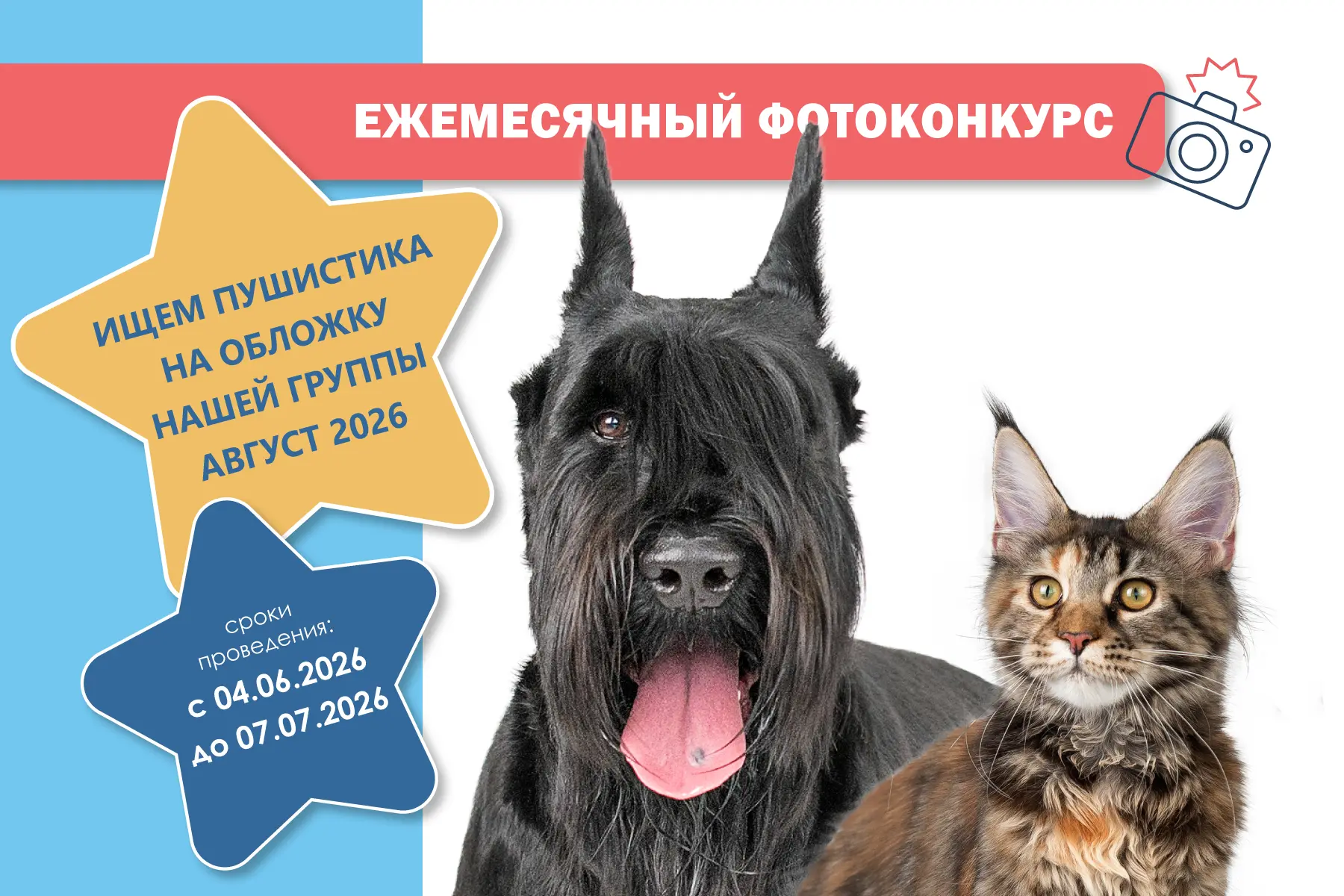 📸ФОТОКОНКУРС в нашей группе ВК продолжается! Ищем пушистика на обложку нашей группы ВК (https://vk.