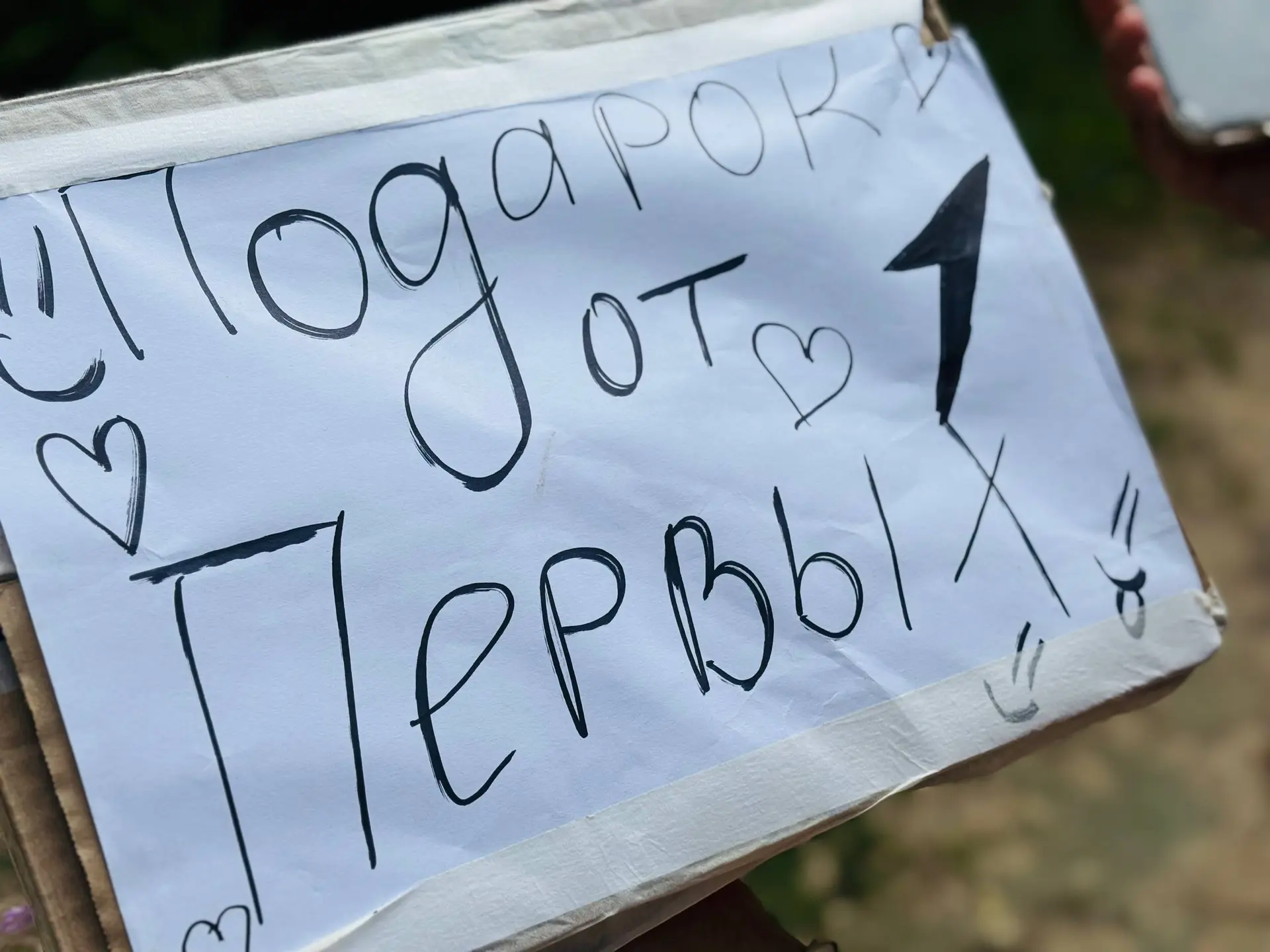 Солнце, сосны и настоящий поход! 🏕️