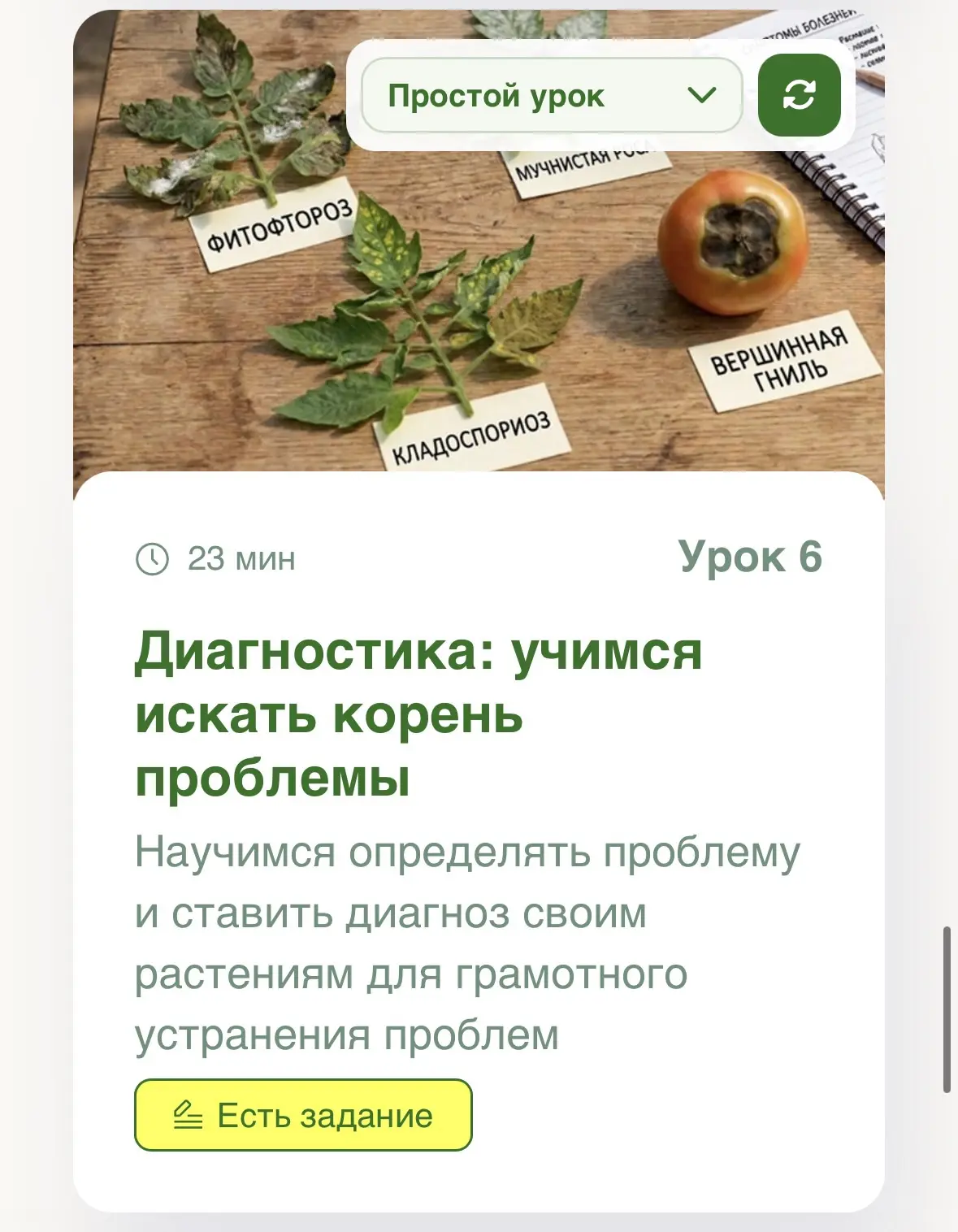«Устала выкидывать свои томаты»🍅😢