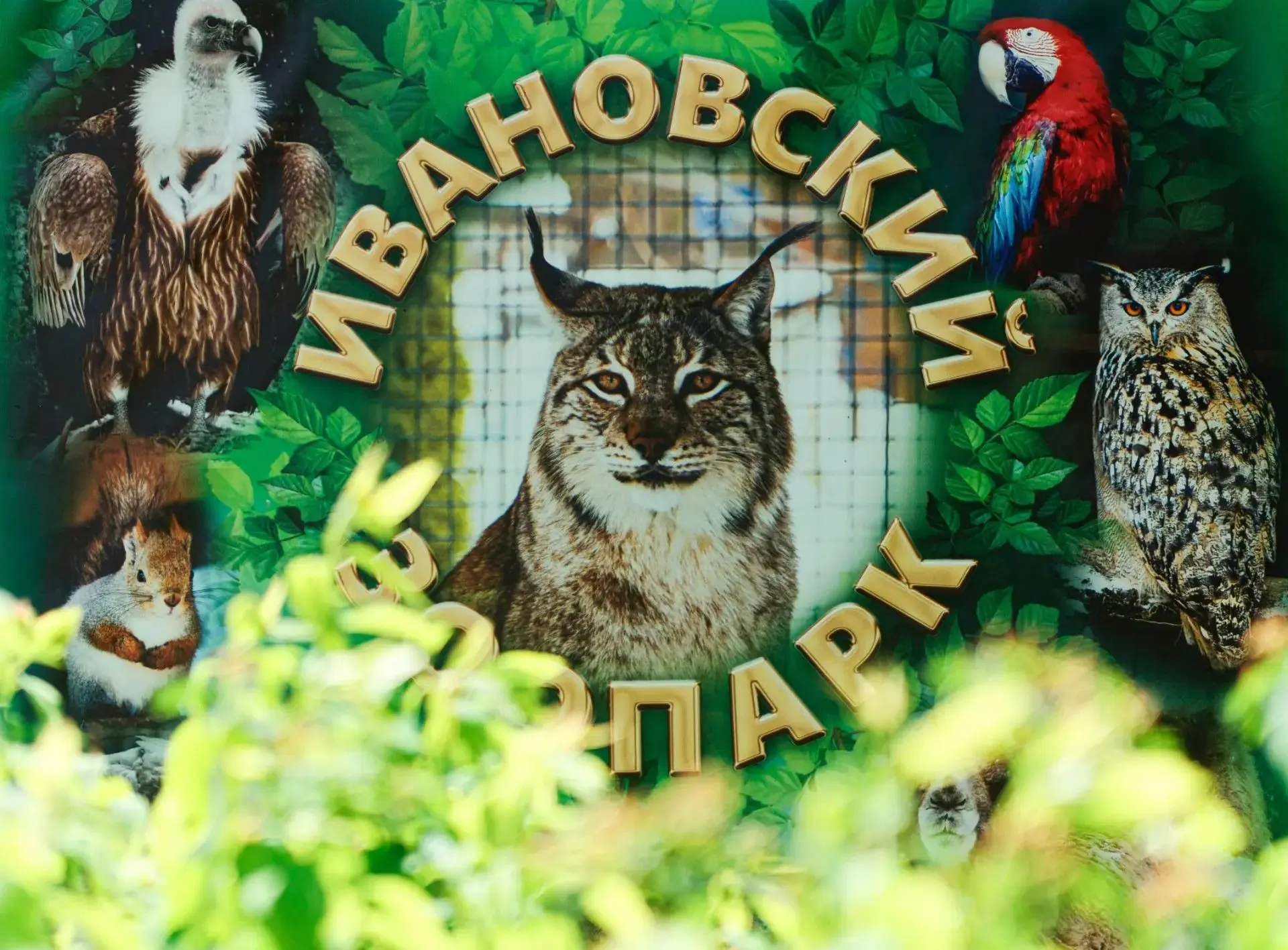 Более 100 половинок приняли участие в акции!!!