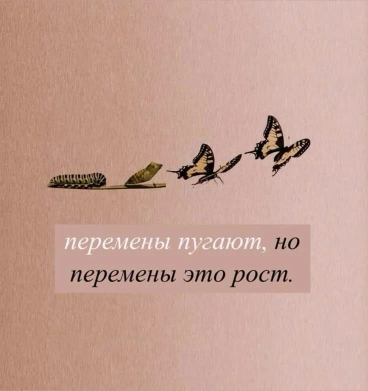 Наши каналы. Подписаться