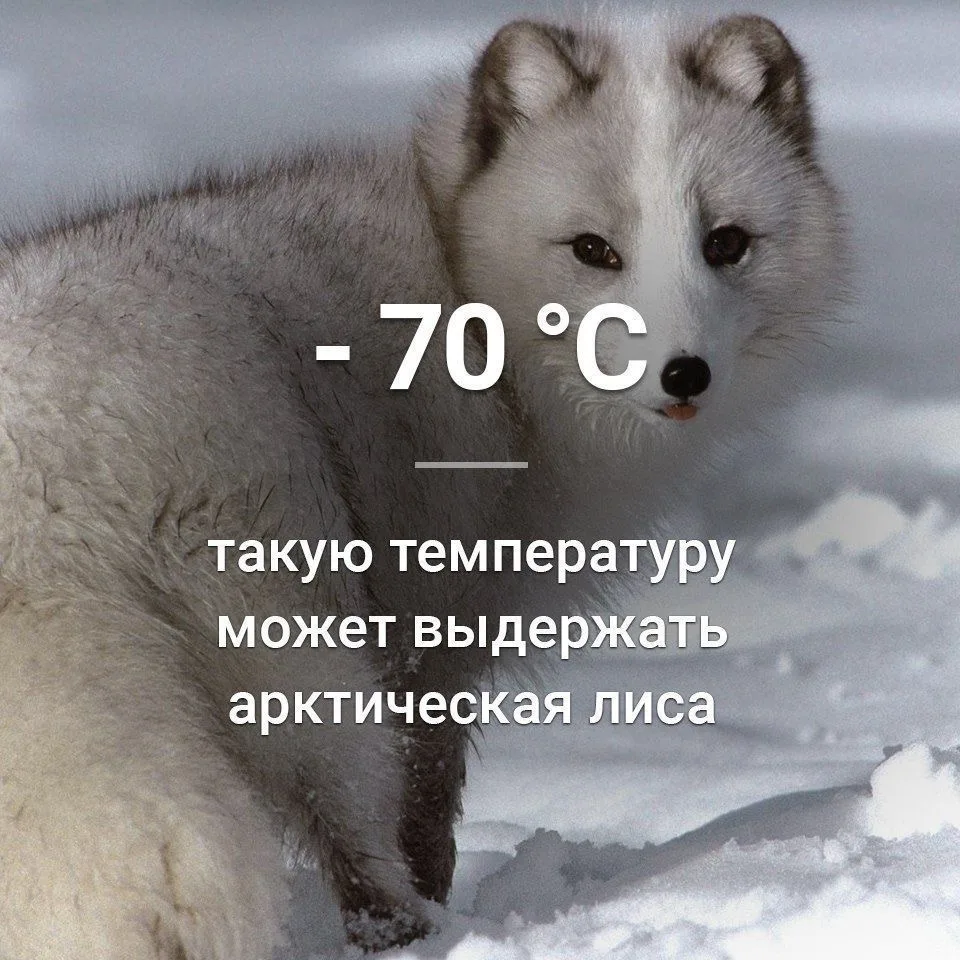 Признавайтесь, знали?
