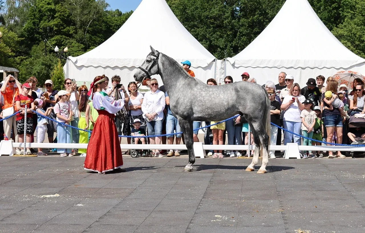 🐴 Фестиваль "Конное достояние" 
📅 19-21 июня, 12:00-19:00

Ⓜ️ м. Волжская, Усадьба "Люблино"

В ра