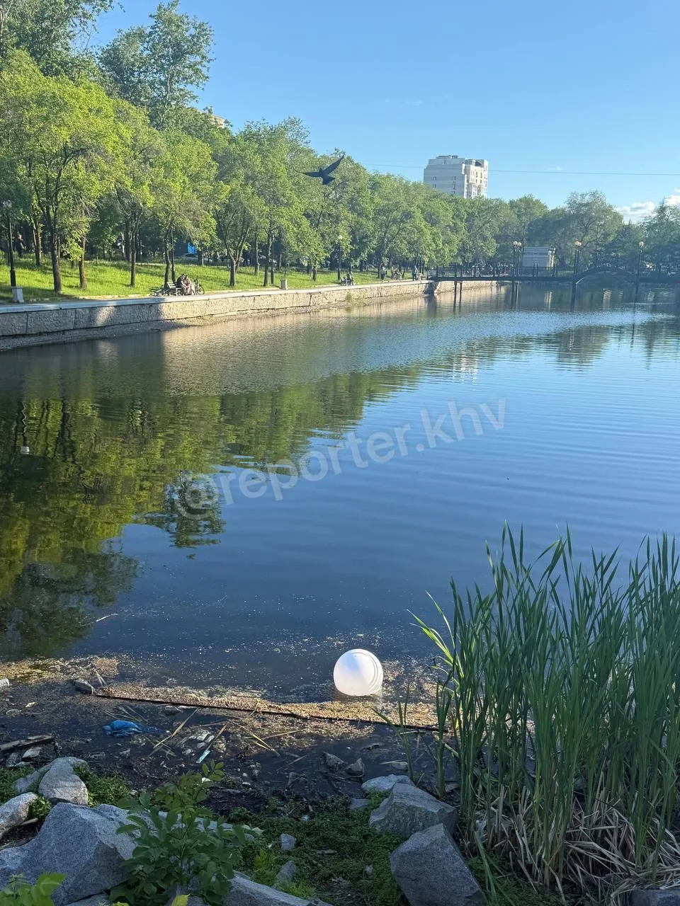 На плохое состояние городских прудов пожаловались хабаровчане