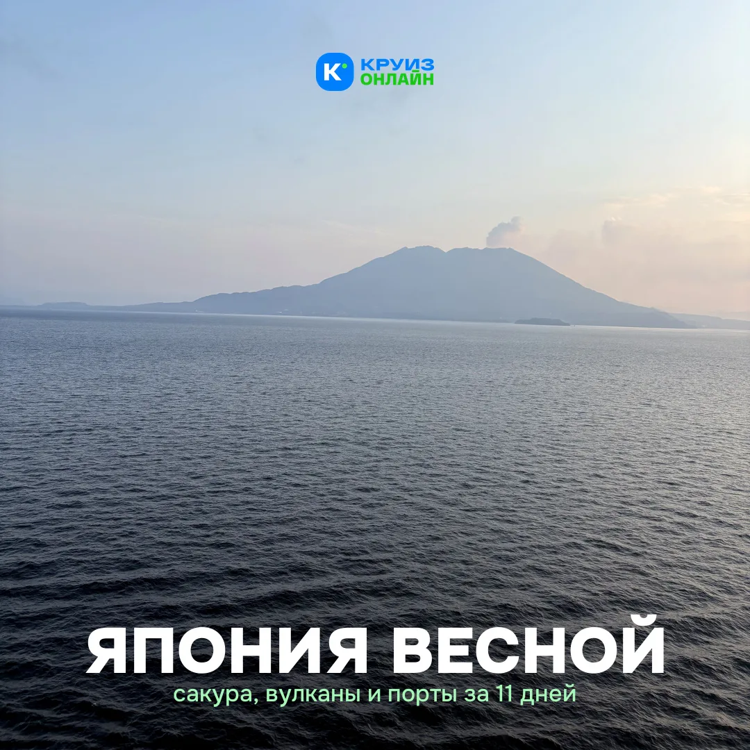 В Японию весной ходят не только за сакурой. Но начинают обычно с неё 🌸
