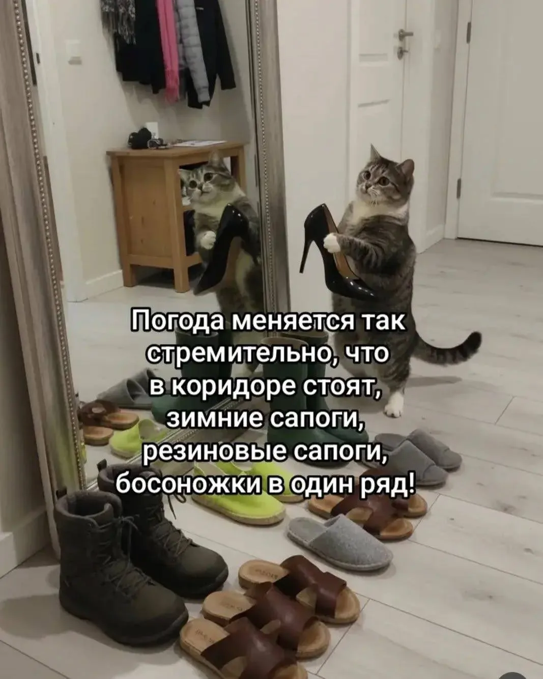 👉 Подпишись — Бестия | Женский Юмор
