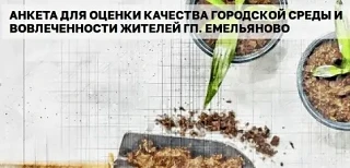 Стартовал опрос для жителей поселка Емельяново ✅

На портале «Активный гражданин» проводится анкетир