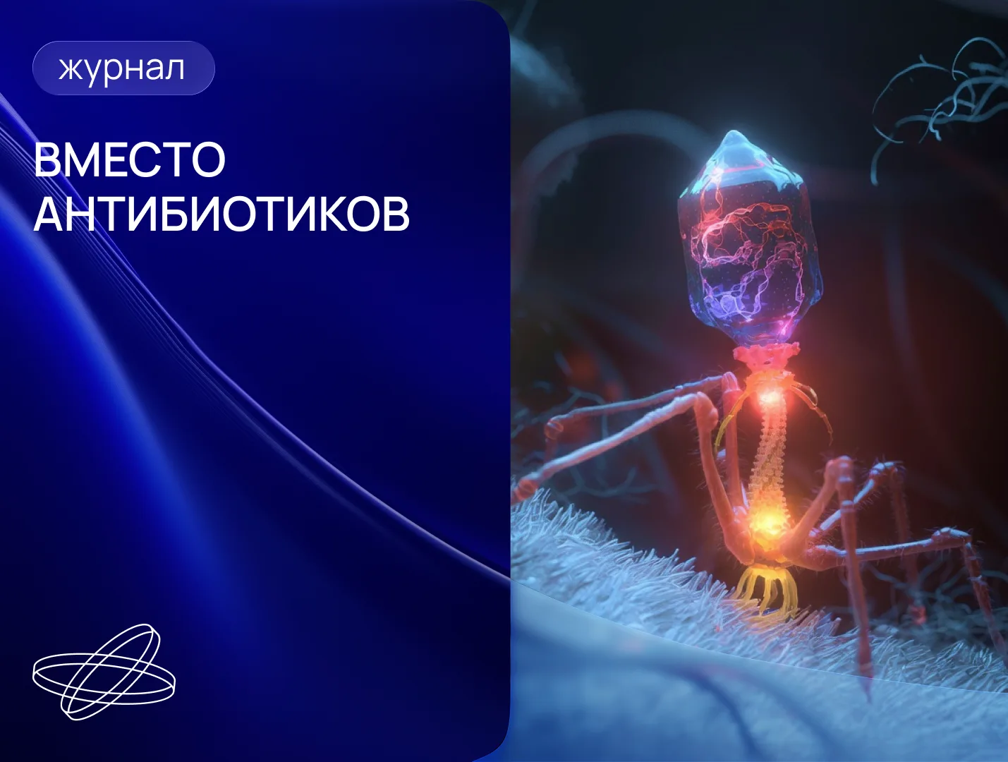Когда фаговая терапия войдёт в клиническую практику

Вирусы-бактериофаги, точечно уничтожающие бакте