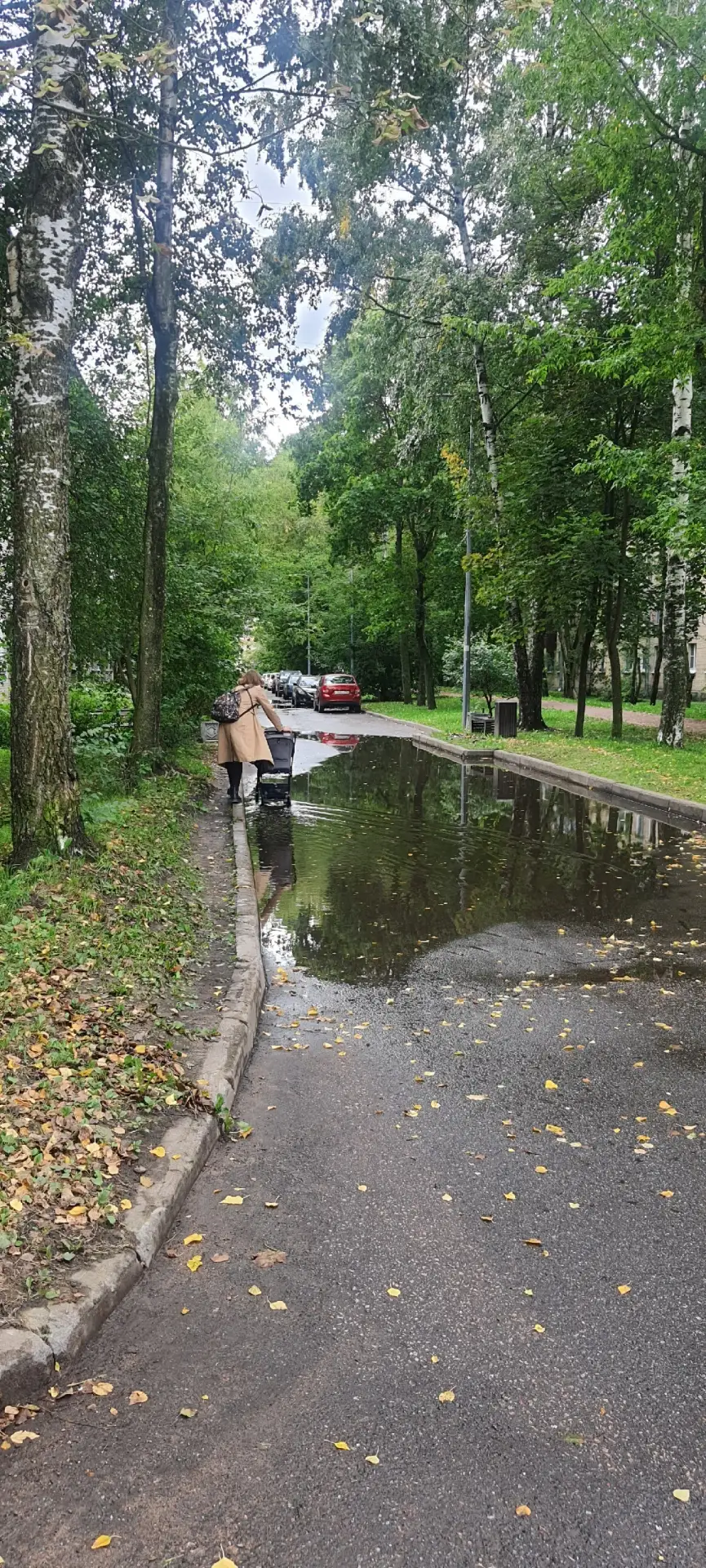Вода, вода... Кругом вода...