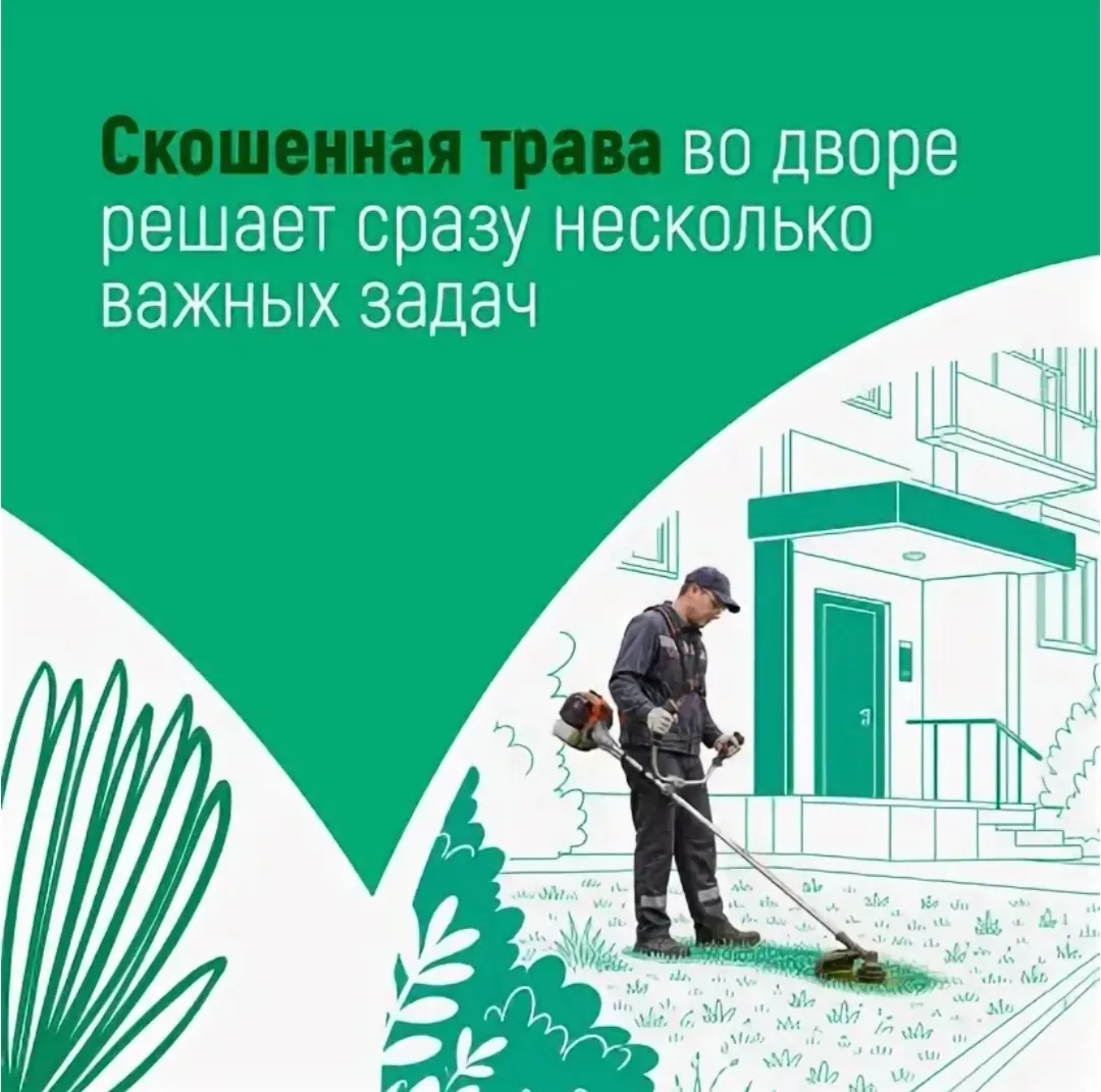 Кто обязан косить траву на придомовой территории?

 Регулярный покос травы — не просто вопрос эстети