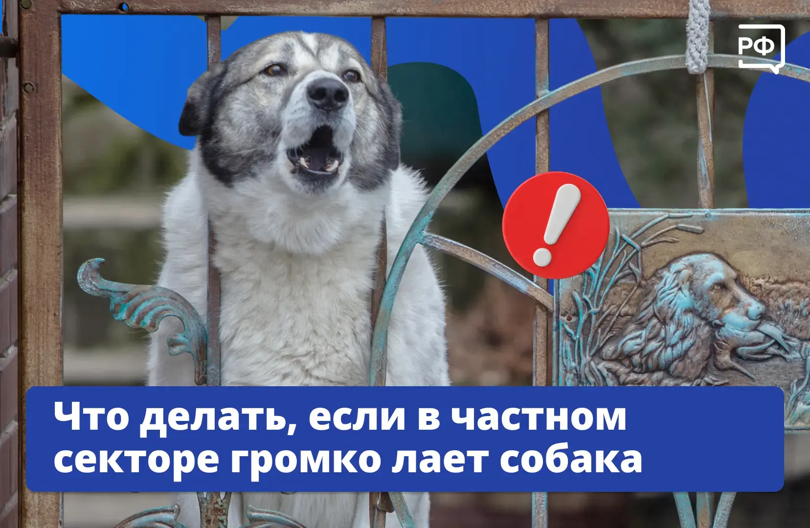 🐕 Собака в частном доме — дело привычное. И сторожит, и голос подаёт, если приходит чу...