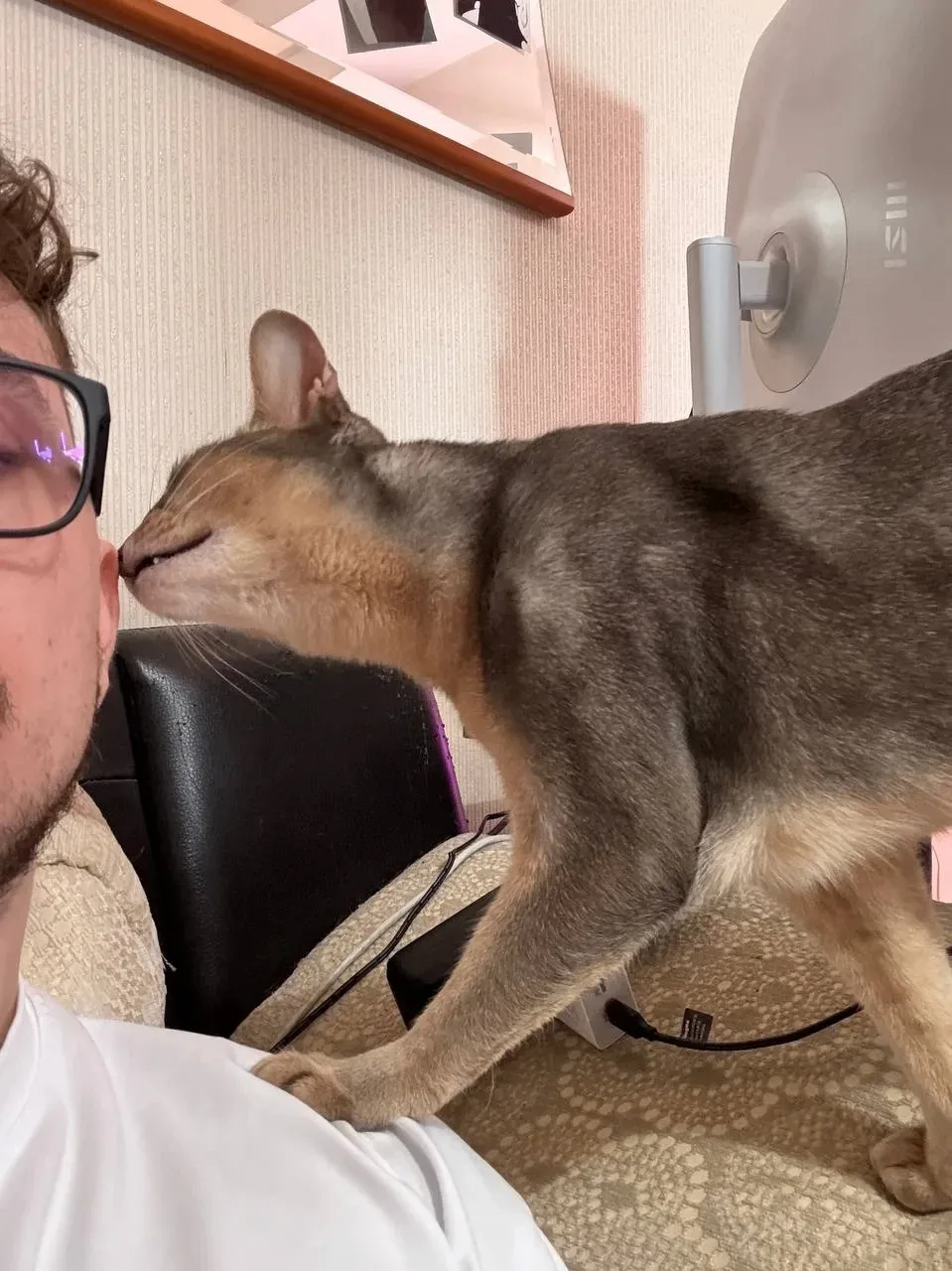 Целуюсь 🥰