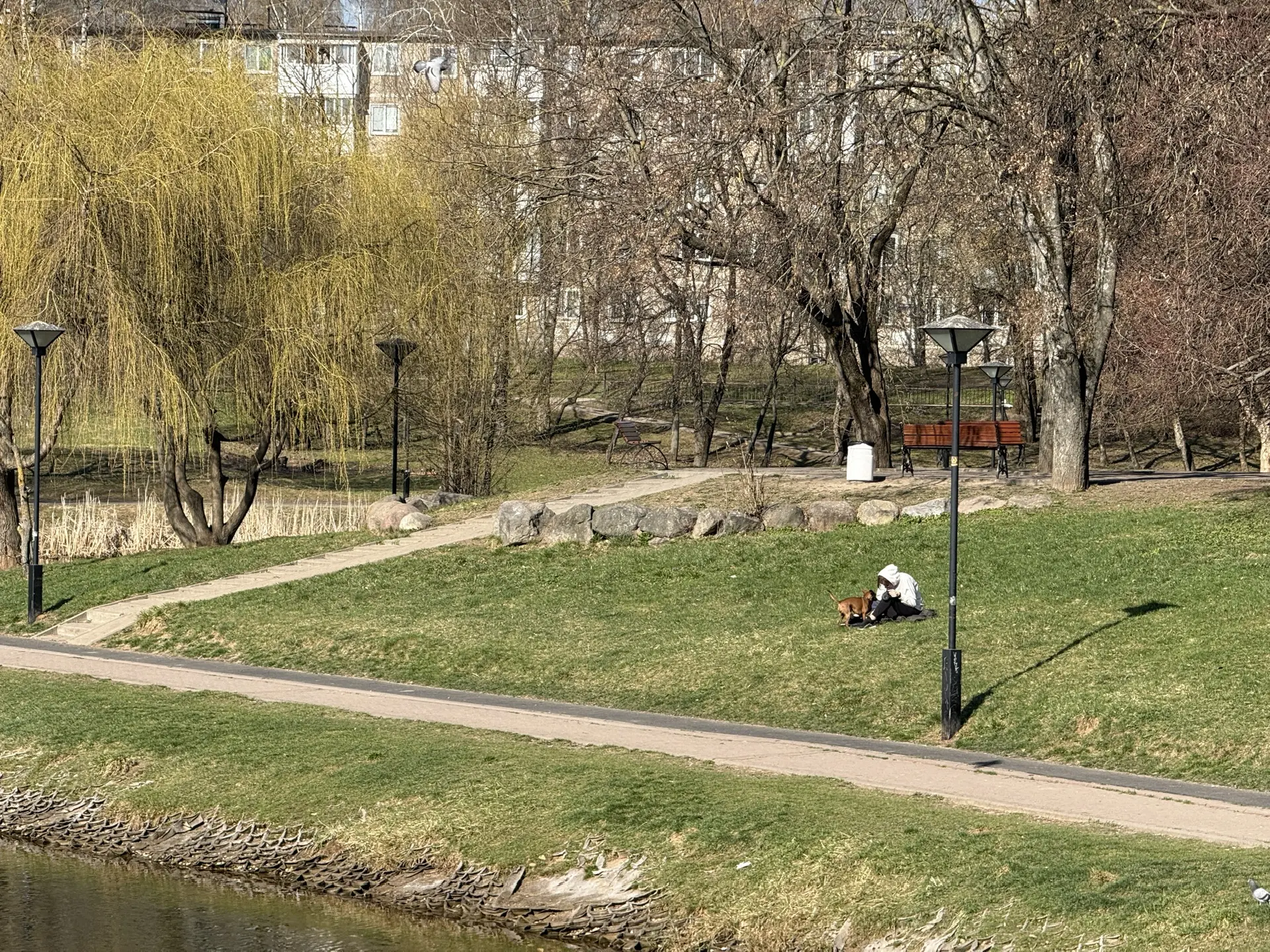Парк «Соловьиная роща», к сожалению, совсем не готов к отдыху смолян и гостей города. Покраска сцены
