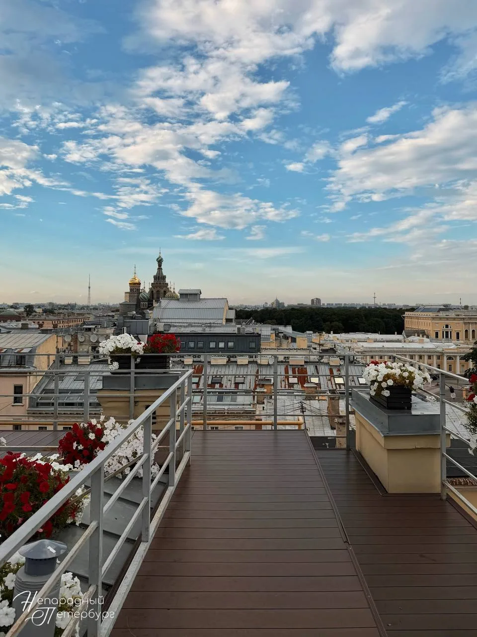 Малоизвестная смотровая в центре Петербурга 🤌🏻