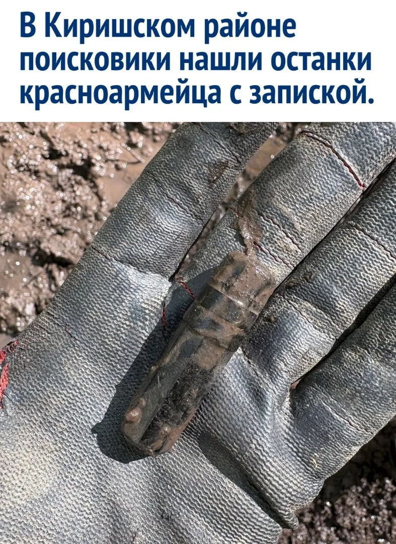 В Ленинградской области завершилась очередная экспедиция отрядов «Небо Ленинграда» и «В...