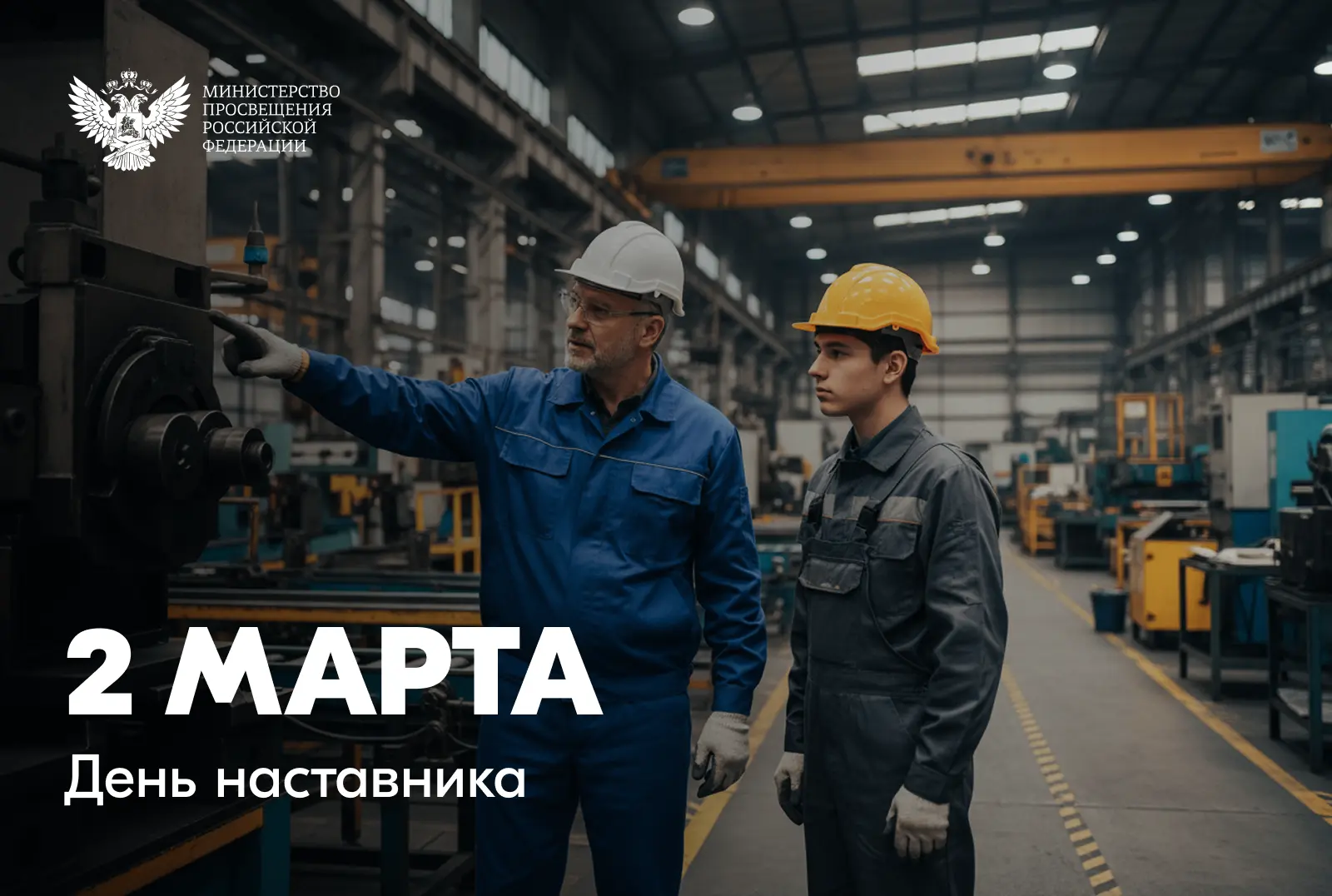 Дорогие друзья!