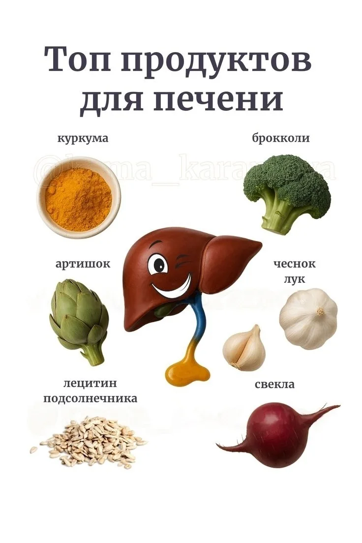 Зеленые овощи, такие как шпинат, брокколи и артишоки, оказывают значительную поддержку ...
