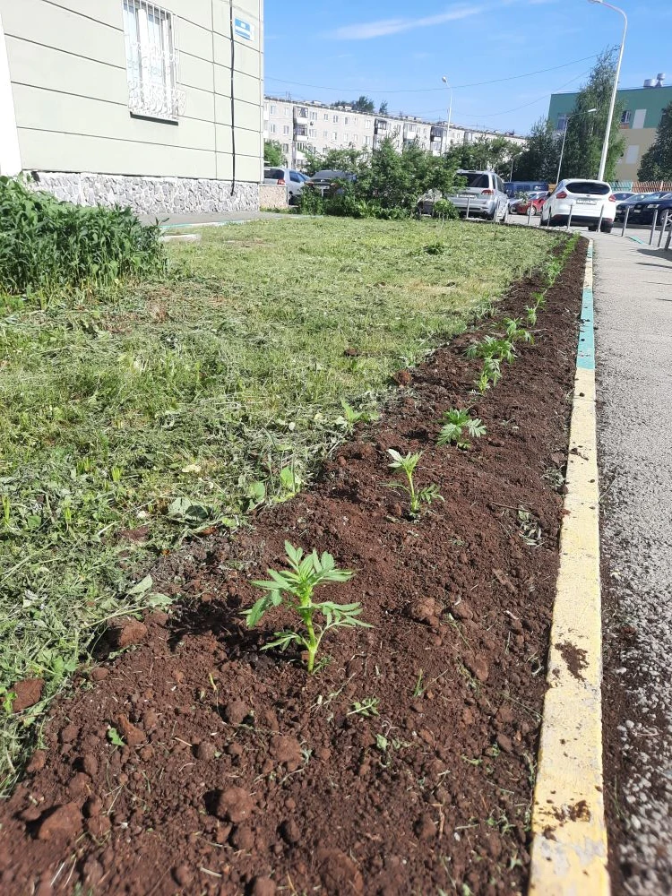 Проведены работы: