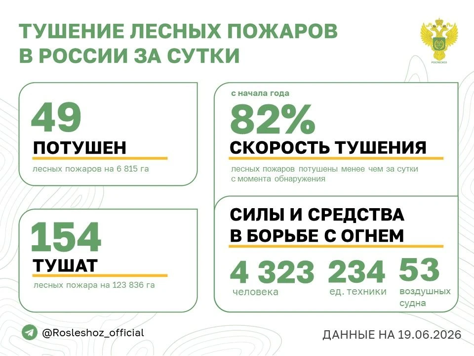 🟢 За прошедшие сутки в 12 регионах России потушили 49 лесных пожаров. 
Продолжается тушение 154 лес