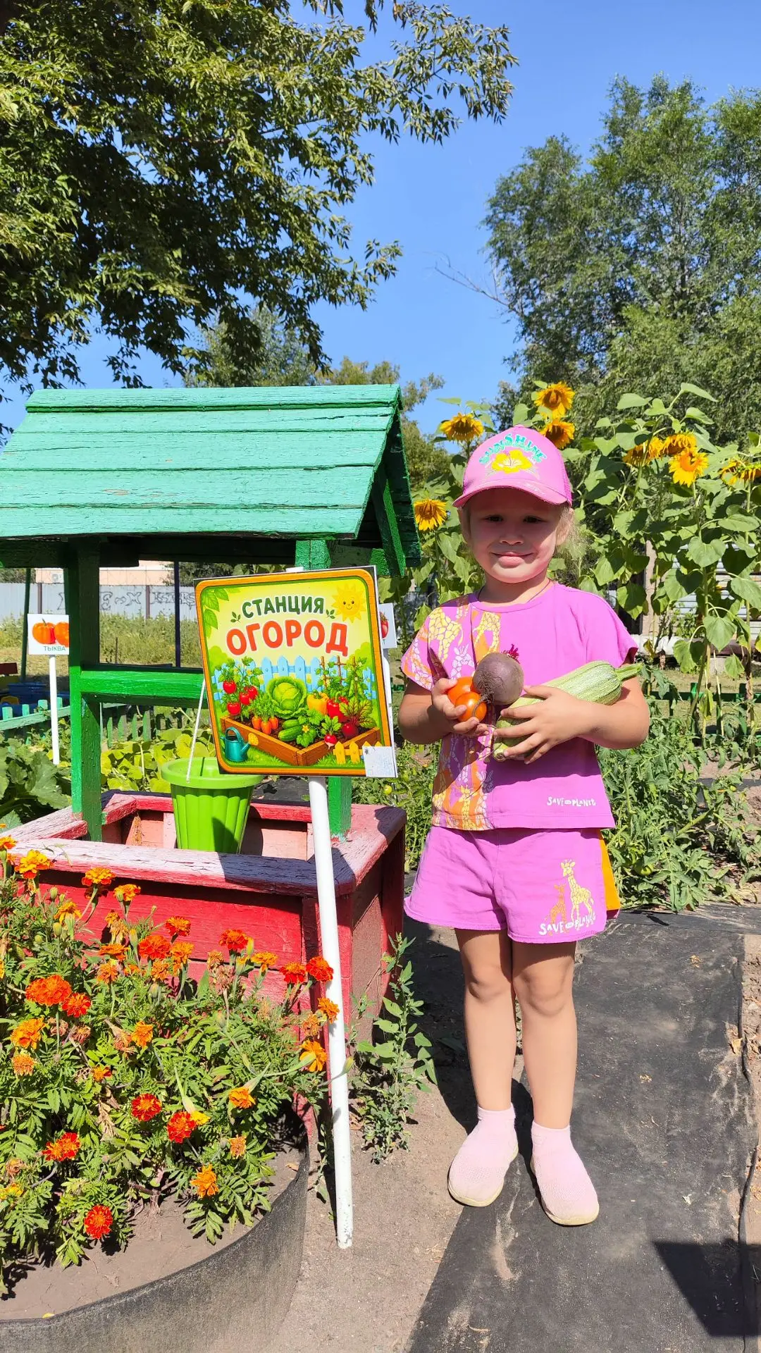 Есть у нас свой огород🍅