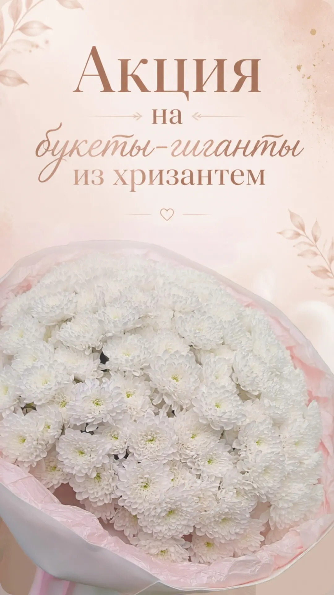 ‼️СПЕЦИАЛЬНОЕ ПРЕДЛОЖЕНИЕ ‼️