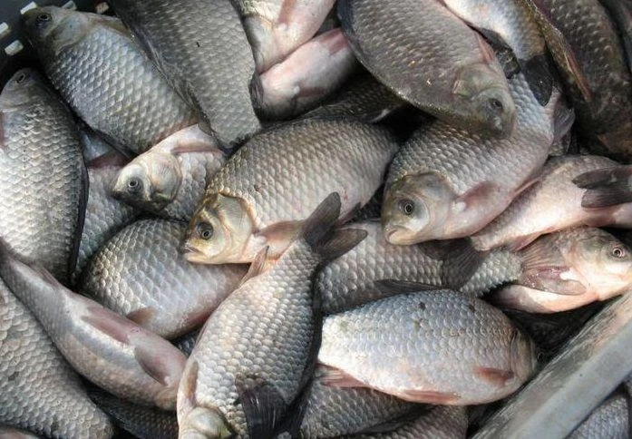 🐟Рыбохозяйственный комплекс Тюменской области: почти 470 тонн вылова и 1400 тонн выращенной рыбы
⁣
