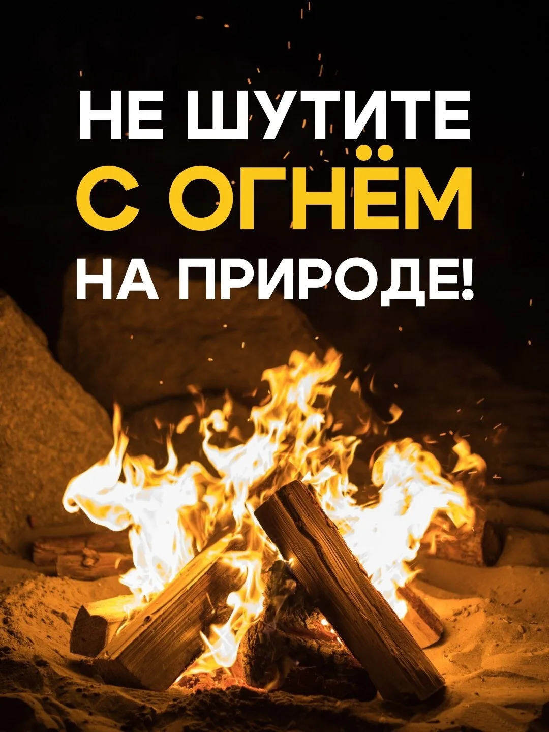 🌳 Каждый год из-за одной искры мы теряем тысячи гектаров леса. Гибнут животные, страда...