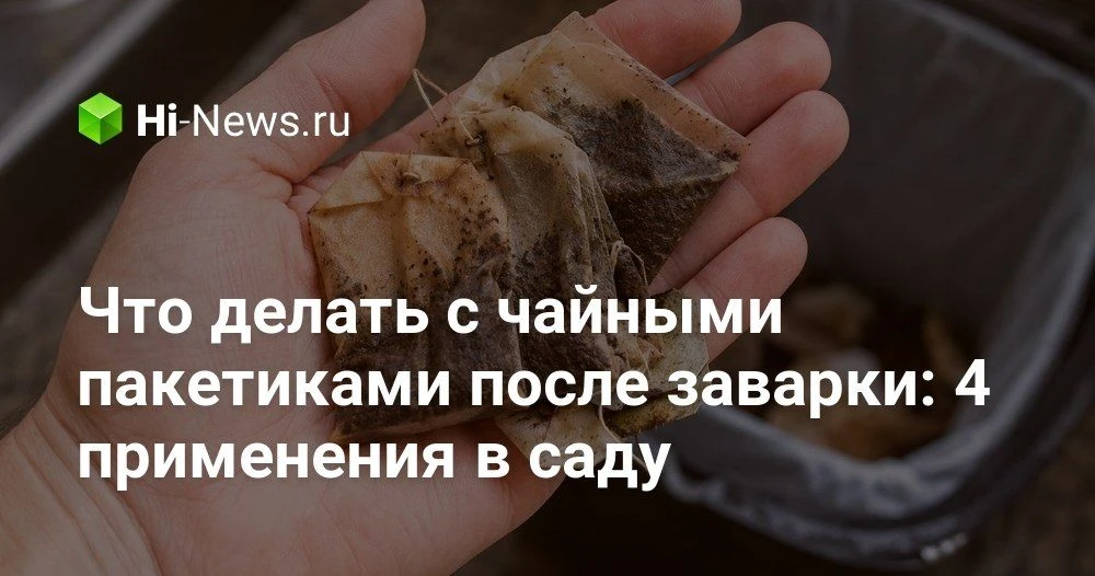 Что делать с использованными чайными пакетиками: практичные идеи для дома и сада

Мы привычно отправ