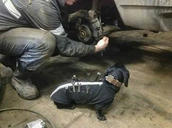 Помощник автомеханика😊