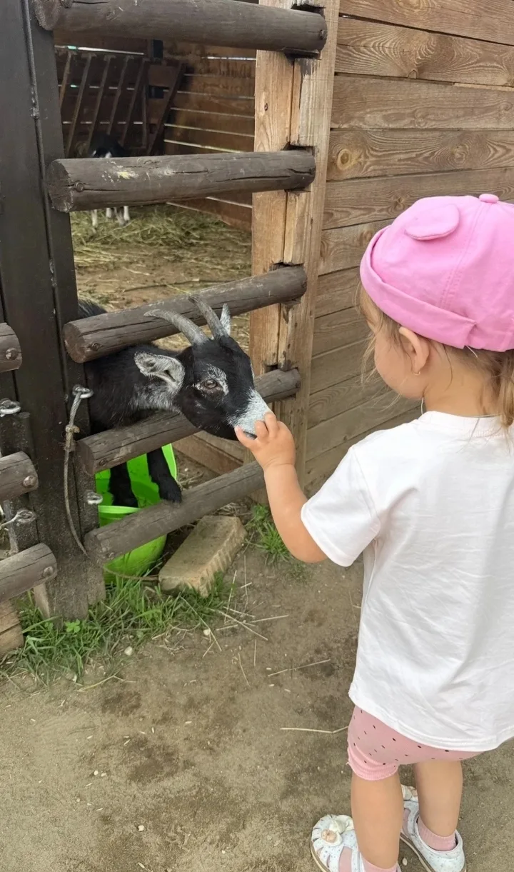 🐶 Кто любит собак,