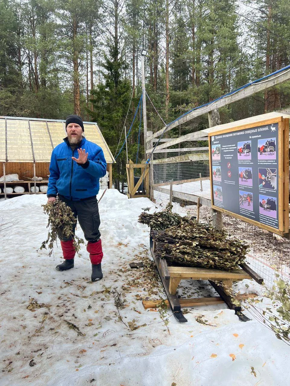 Выгуляли северных оленей, как домашних питомцев...  🦌 Колоссальный опыт общения с самыми настоящими 