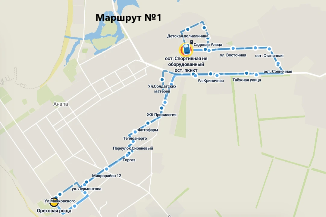 В Анапе разработали новую маршрутную сеть общественного транспорта (все схемы).