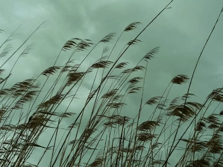 Если хотите заставить человека что-либо сделать по Вашей воле, читайте заговор:

Была я в поле, виде
