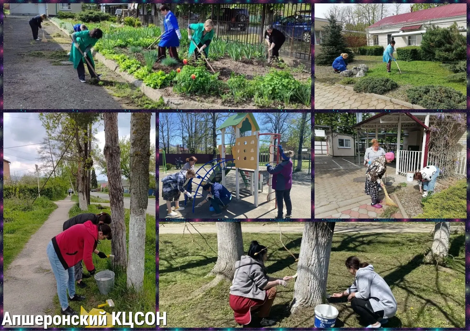 Сотрудники Апшеронского комплексного центра приняли активное участие в субботниках, про...