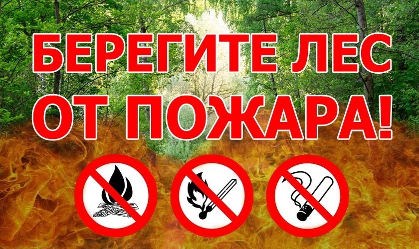 🔥  Министерство лесного хозяйства Нижегородской области призывает строго соблюдать пра...