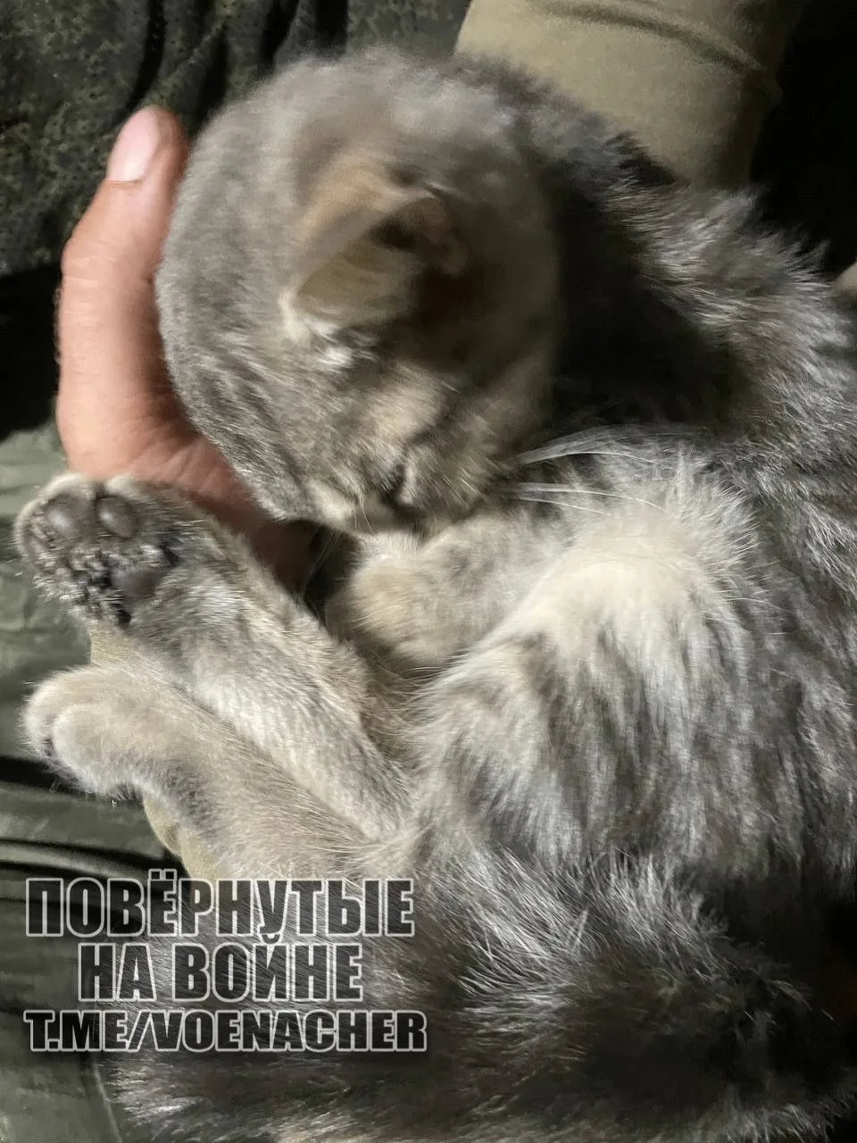 Доброе утро