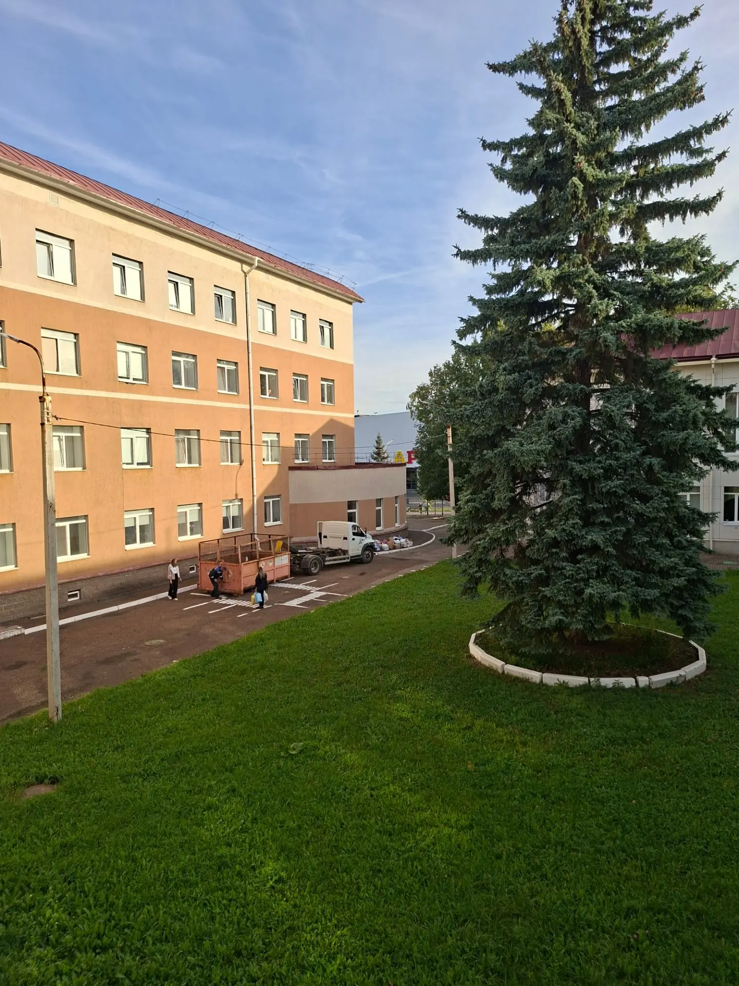 🌳 Акция «Сбор макулатуры» завершена — и мы сделали большое дело! 🌳