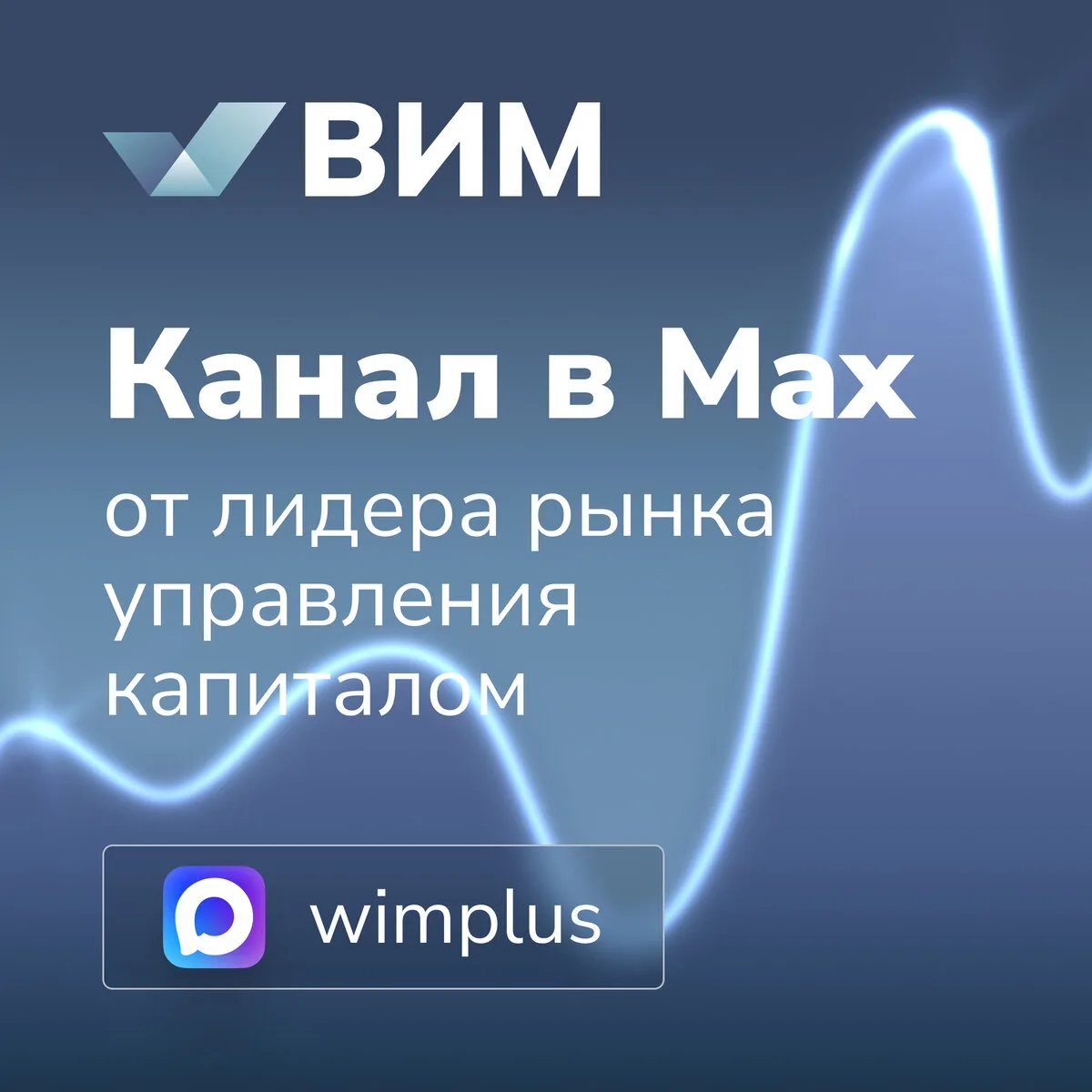 ВИМ Инвестиции