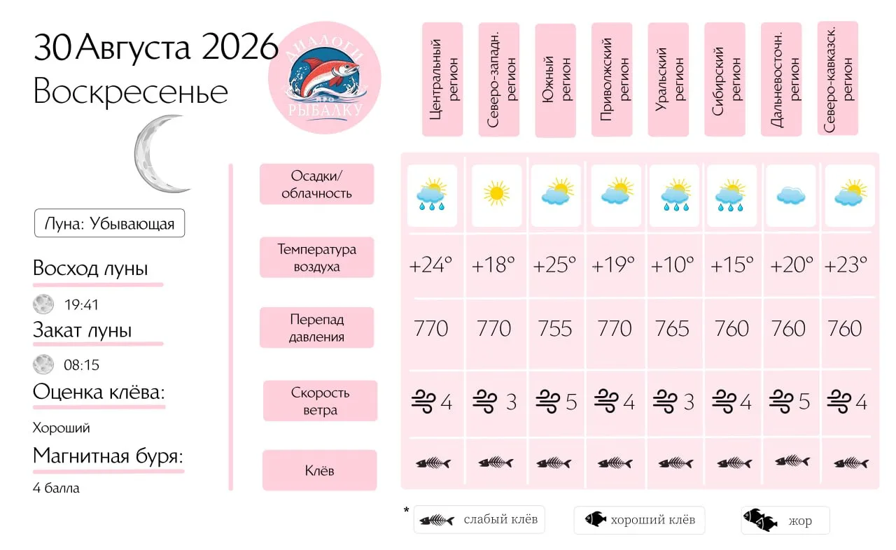 Прогноз клёва на 30 августа по фазе и состоянию луны 🎣