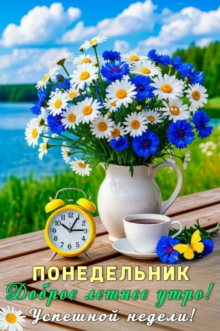 ОТКРЫТКИ
