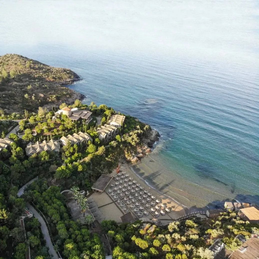 🌴 Зеленый оазис на берегу моря   Club Marvy — большой зелёный курорт с продуманным ландшафтным дизай