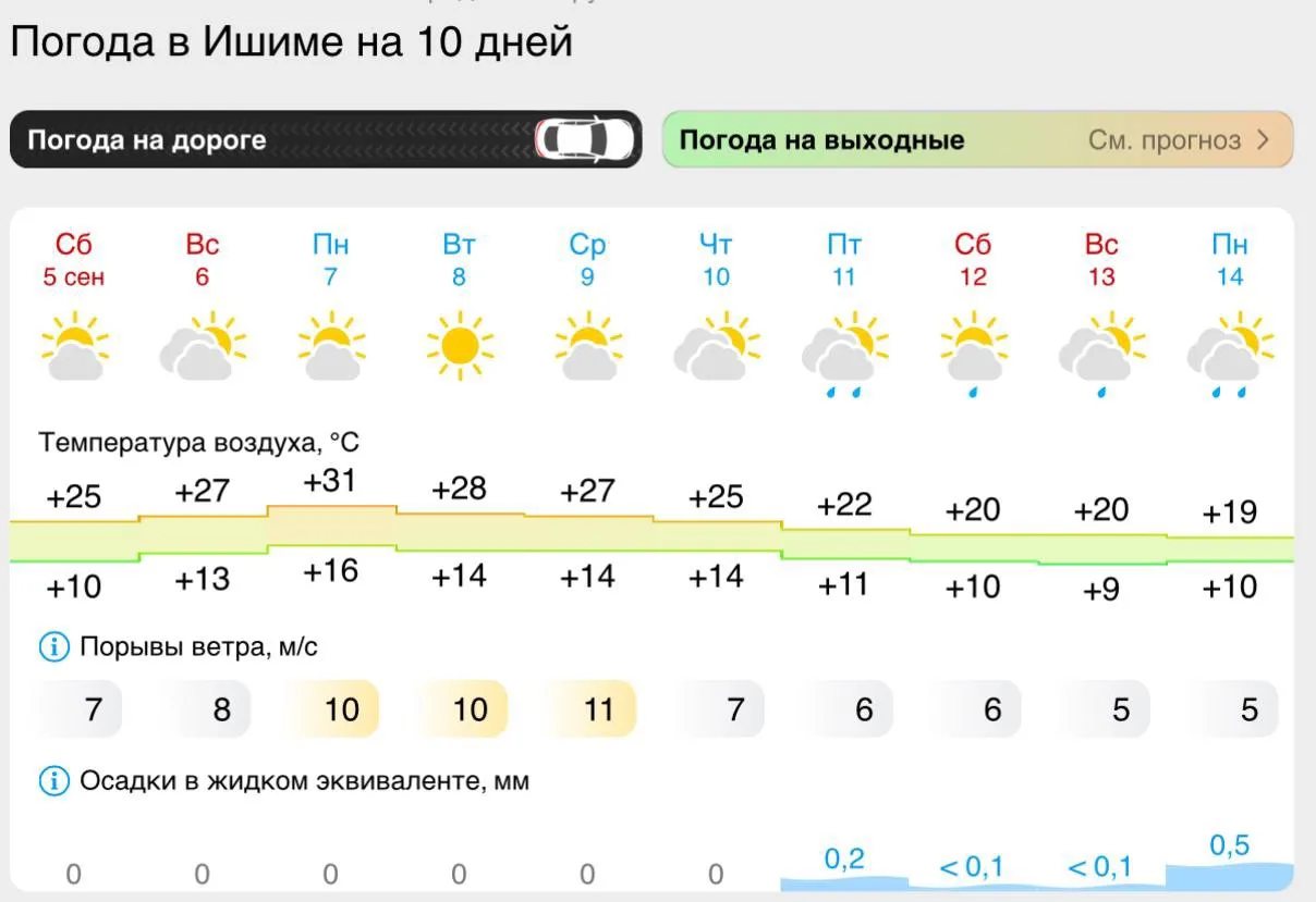 Да ладно +31🤣