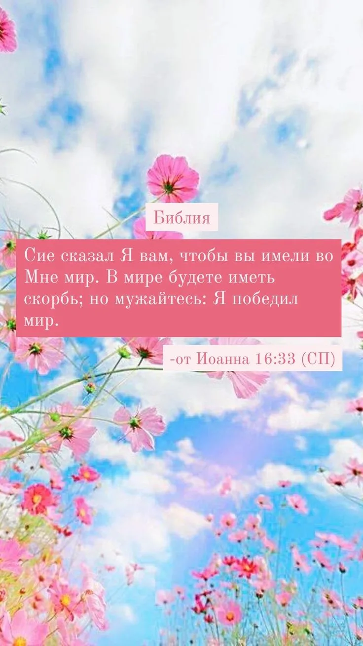 Библия на каждый день