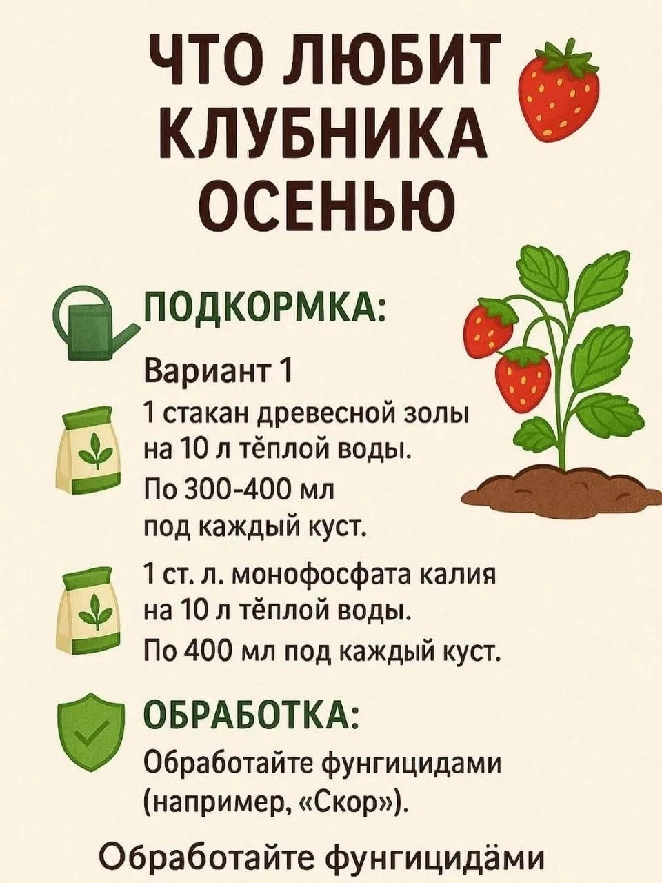 Что любит клубника осенью