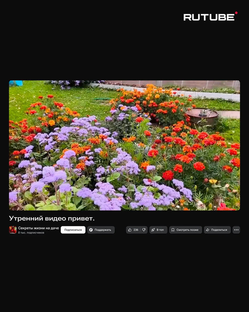 Это вам! 💐
