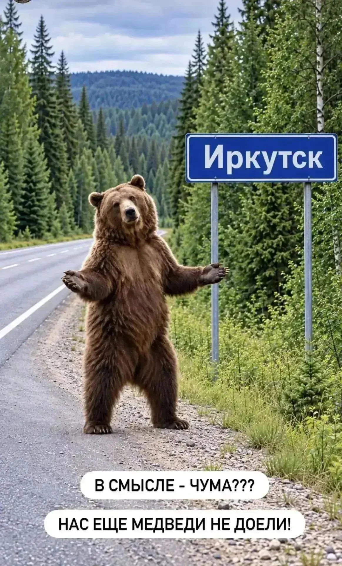 Оптимистичные жители Иркутской области тем временем не унывают 🔥