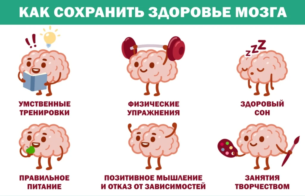 Здоровье головного мозга — основа хорошего самочувствия, развития, памяти, внимания и настроения реб