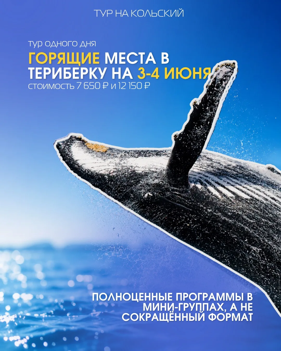 🔥 ГОРЯЩИЕ МЕСТА В ТЕРИБЕРКУ НА 3-4 ИЮНЯ