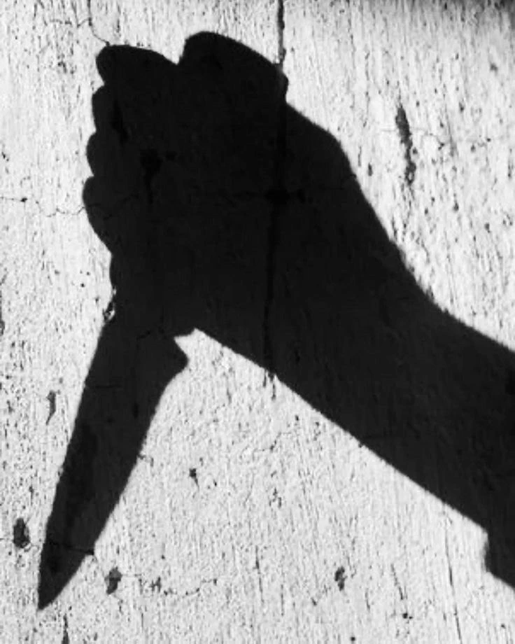 В Богучарский суд направлено дело о зверском убийстве мужщиной своей жены в Новом Лимане