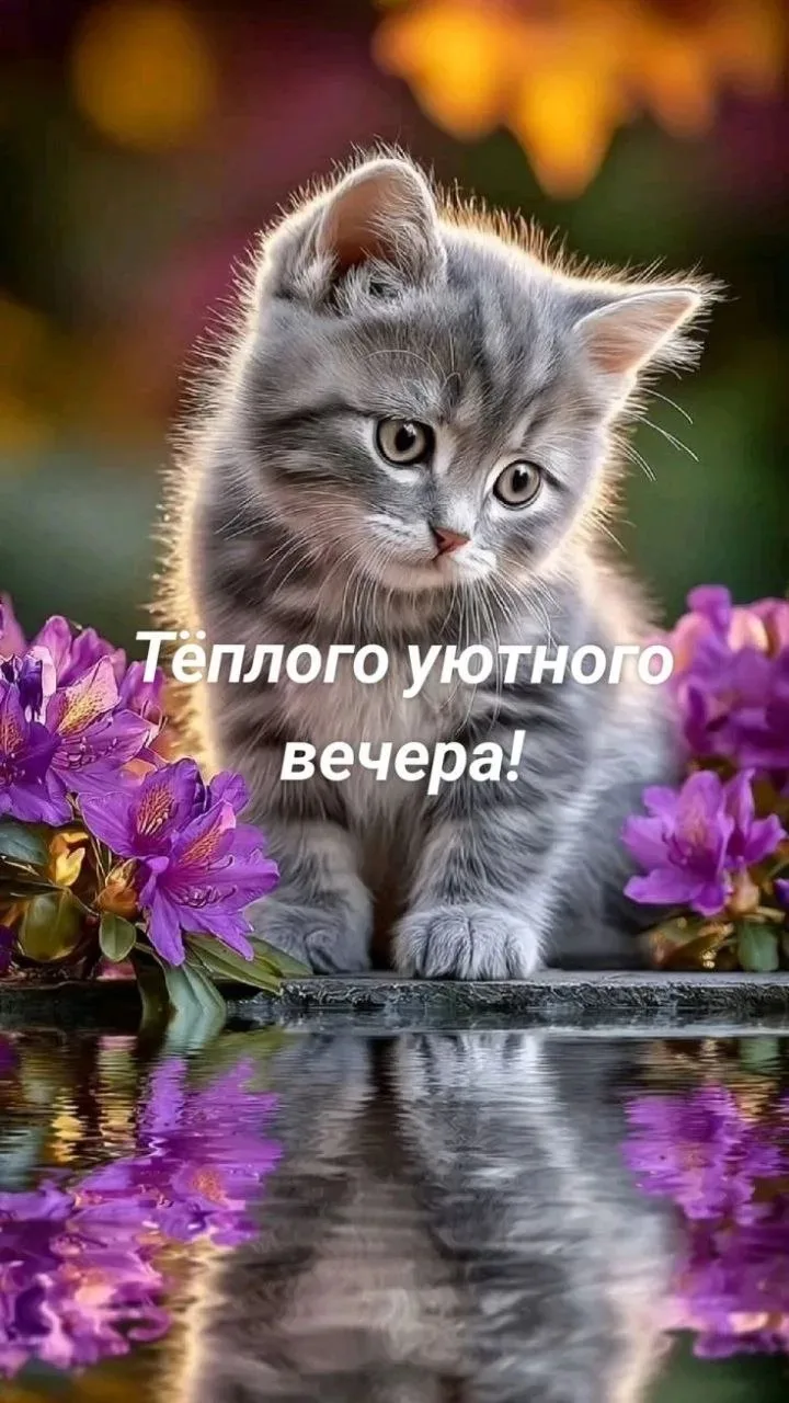 ✨❤️❤️❤️🍬✨

ДЛЯ ДУШИ! 🦋